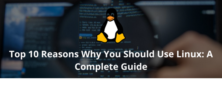 Top 10 Reasons Why You Should Use Linux: A Complete Guide