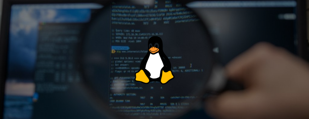 Top 10 Reasons Why You Should Use Linux: A Complete Guide